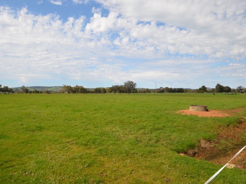 343 Herbert Road, Harvey WA 6220