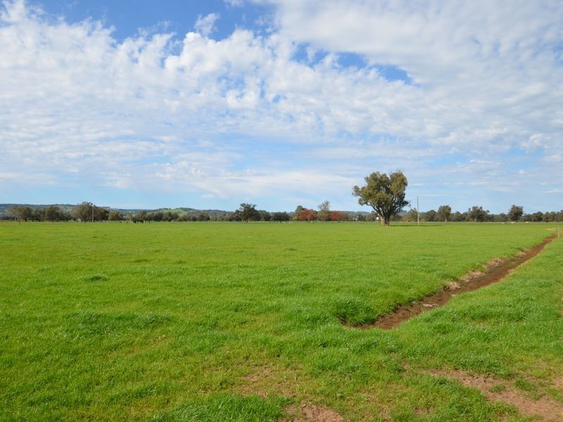 343 Herbert Road, Harvey WA 6220