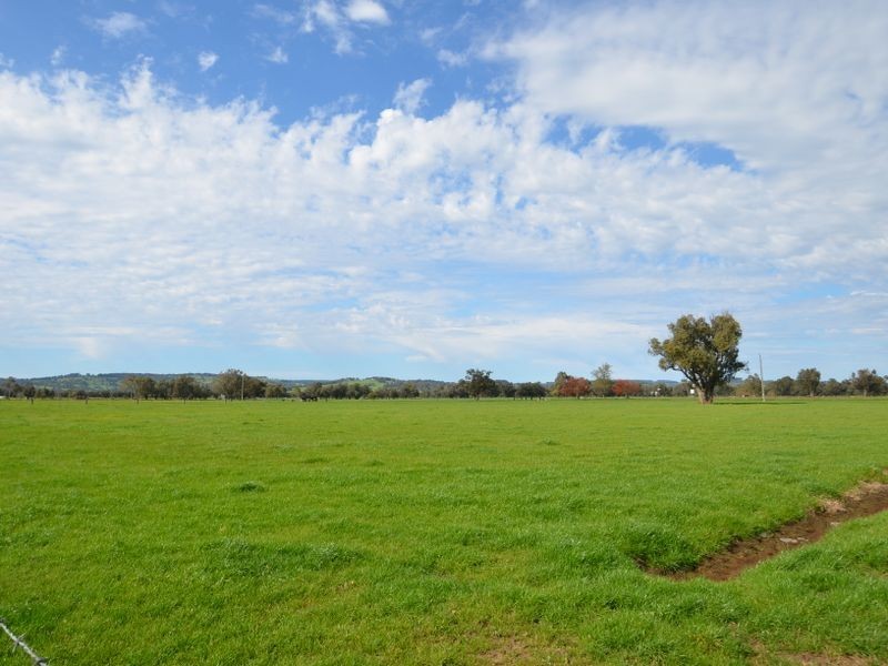 343 Herbert Road, Harvey WA 6220