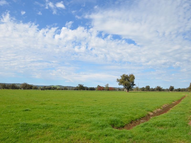 343 Herbert Road, Harvey WA 6220