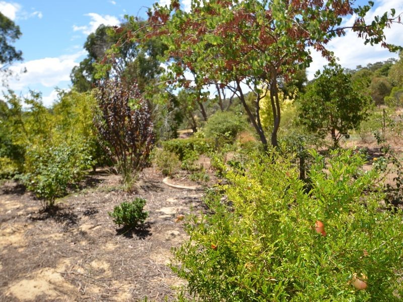 18 Ietto Way, Harvey WA 6220