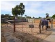 9 Barr Road, Carey Park WA 6230