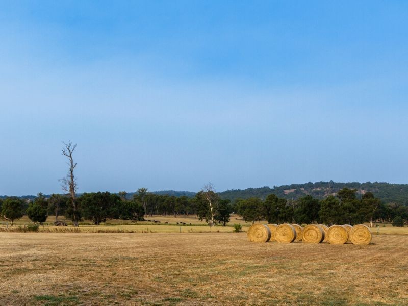 247 Driver Street, Beela WA 6224