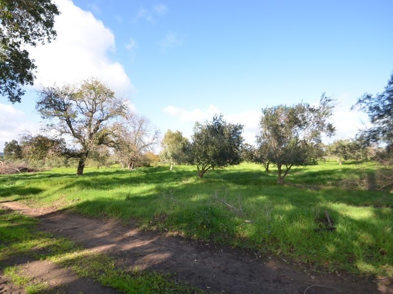 200 Thompson Road, Cookernup WA 6220