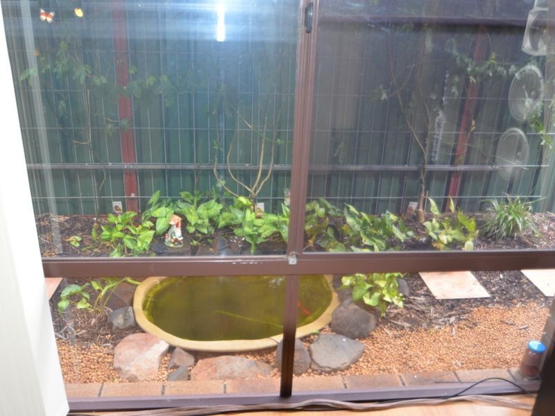 70 Herbert Road, Harvey WA 6220