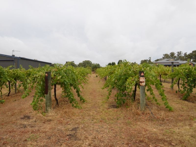 244 Tenth Street, Harvey WA 6220