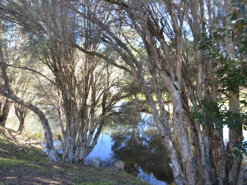 41 Gladstone Street, Cookernup WA 6220