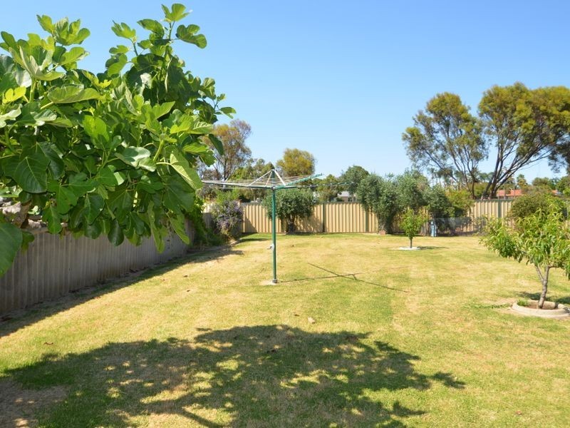 17 Peet Street, Harvey WA 6220