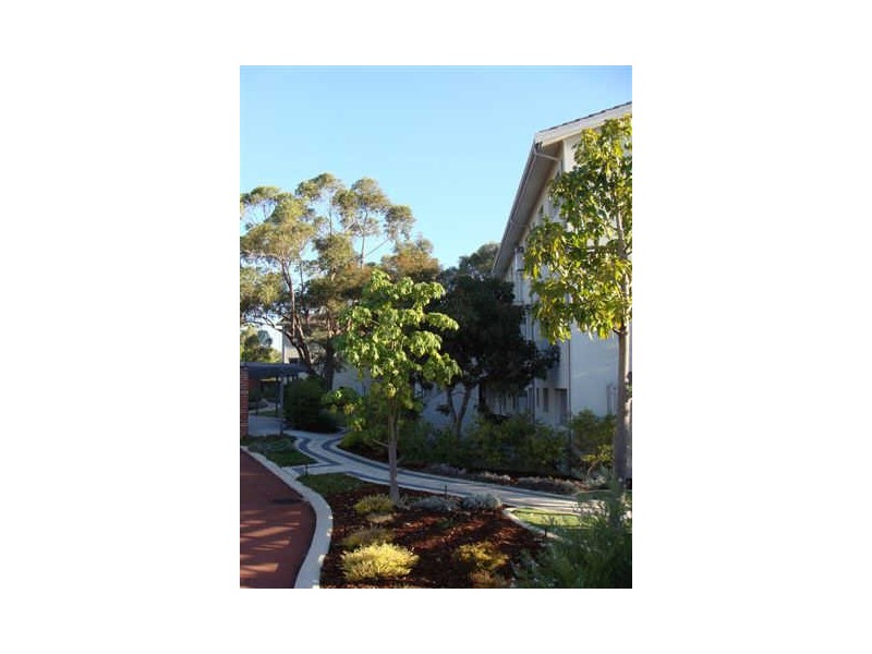 17/24 Theseus Way, Coolbellup WA 6163