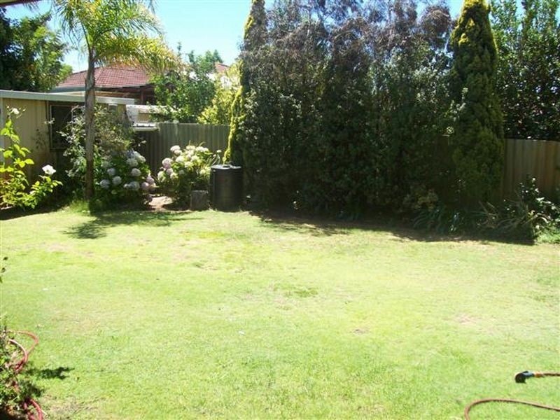 3 Le Souef Drive, Kardinya WA 6163