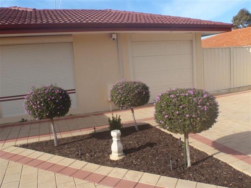 21 Petterson Avenue, Kardinya WA 6163