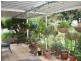 50 Torenia Way, Yangebup WA 6164