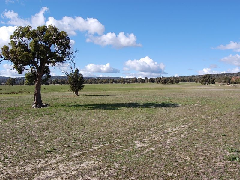 217 Shanley Road, Hopeland WA 6125