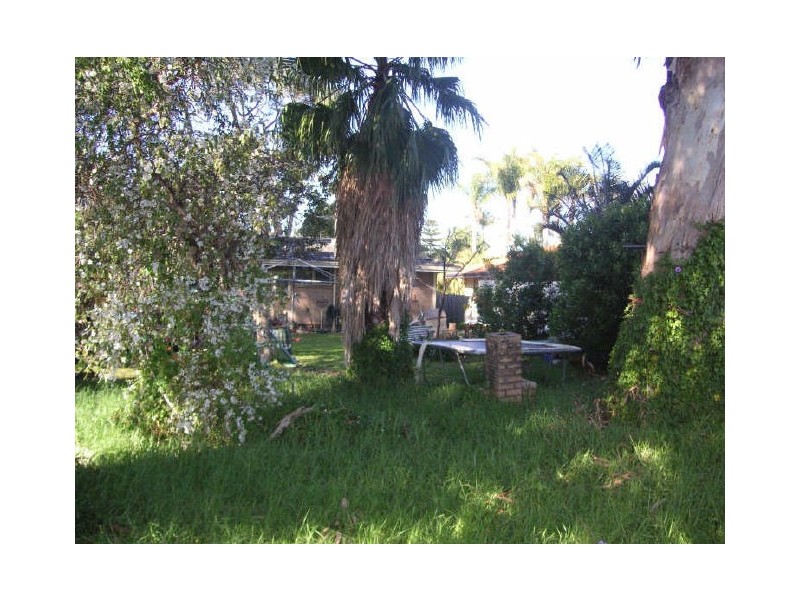 84 Edeline Street, Spearwood WA 6163