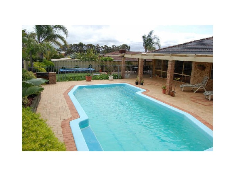19 Torenia Way, Yangebup WA 6164