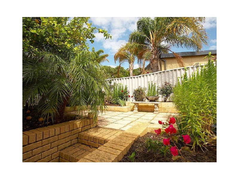 31 Buckingham Crescent, Kardinya WA 6163