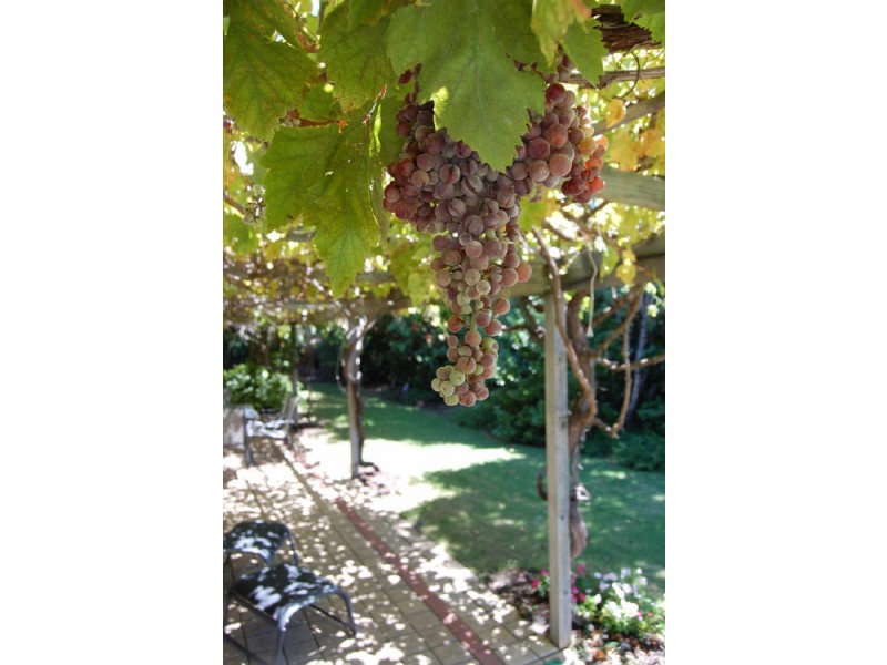 7 Rason Court, Seville Grove WA 6112