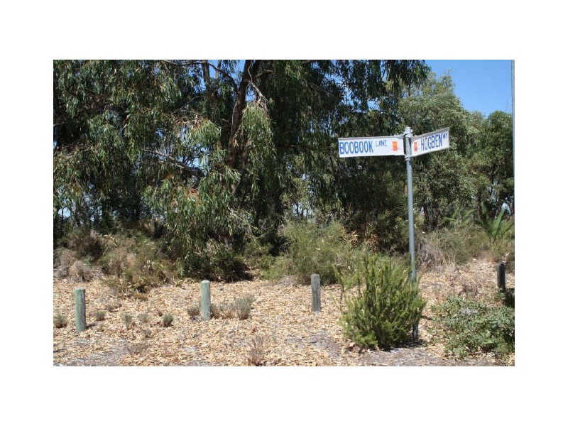 8 Boobook Lane, Beeliar WA 6164