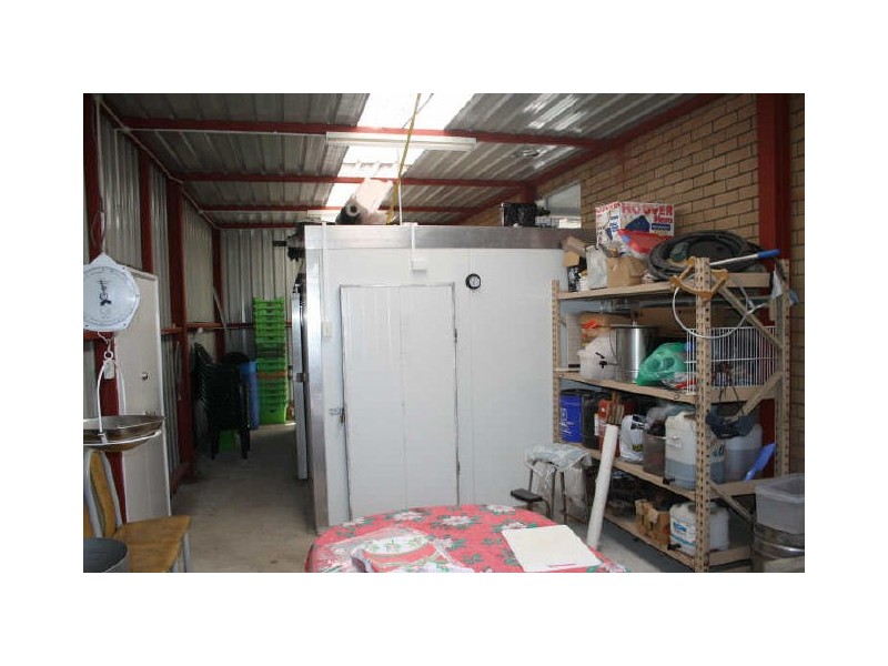 133 Britannia Avenue, Beeliar WA 6164