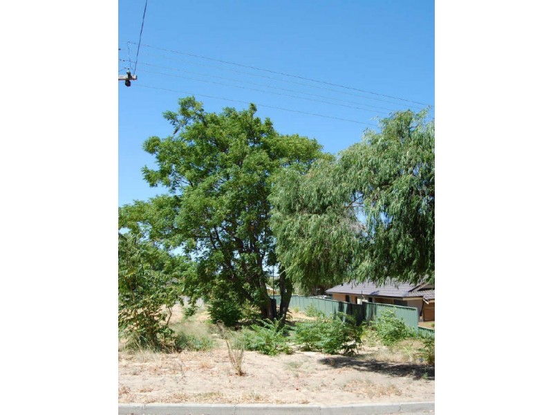 15 Indle Street, Willagee WA 6156