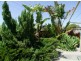 1A Windelya Road, Kardinya WA 6163