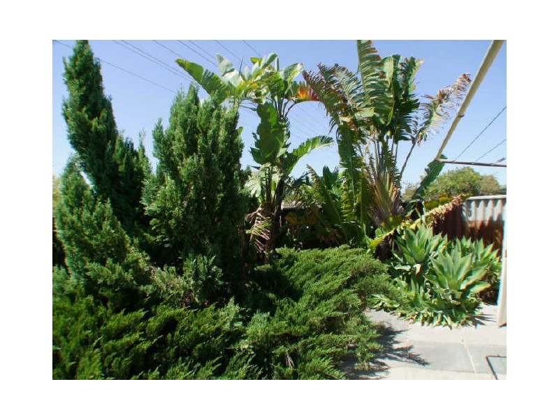 1A Windelya Road, Kardinya WA 6163