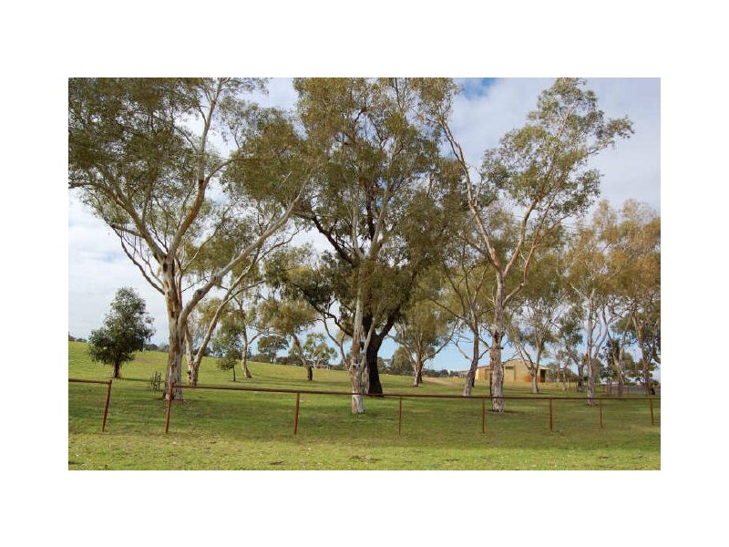 7 Cade Street, Hamilton Hill WA 6163