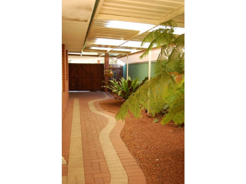 50 Milroy Street, Willagee WA 6156