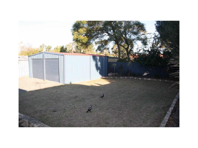 10 Kestrel Way, Yangebup WA 6164