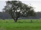 Lot 701 St Albans Road, Baldivis WA 6171