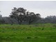Lot 702 St Albans Road, Baldivis WA 6171