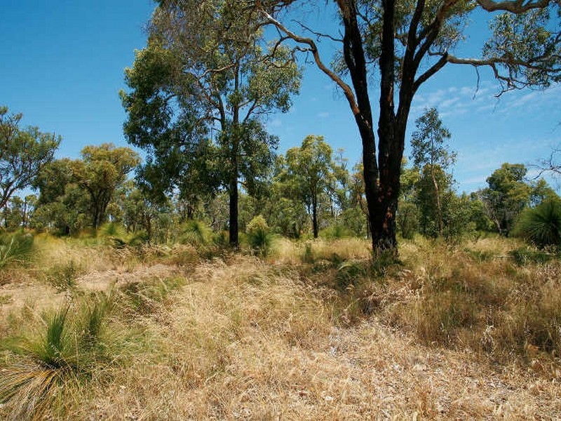 38 Malvolio Road, Coolbellup WA 6163