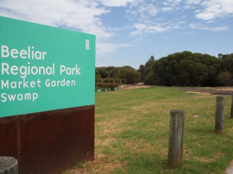 23A Blato Place, Spearwood WA 6163