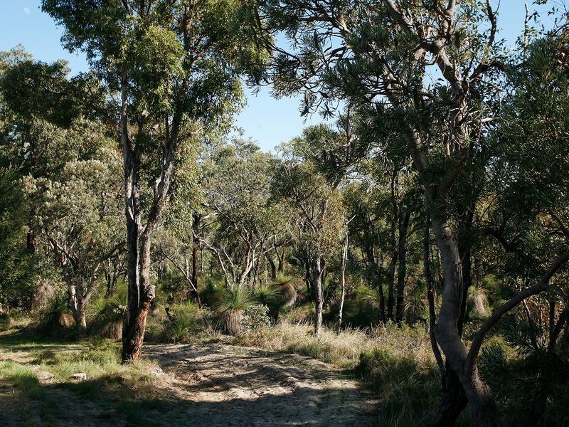 37 Marshwood Retreat, Bibra Lake WA 6163