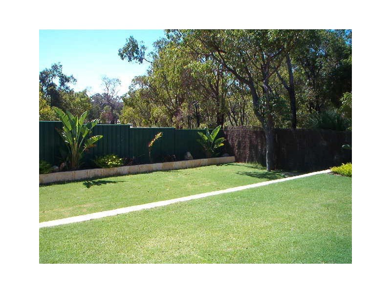 40 Paddington Court, Bibra Lake WA 6163