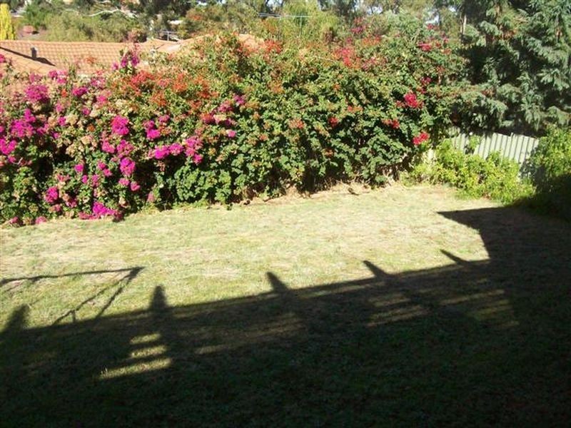 35 Petterson Ave, Kardinya WA 6163