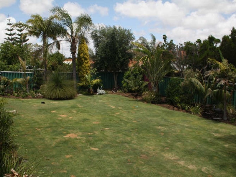 55 Cervantes Loop, Yangebup WA 6164