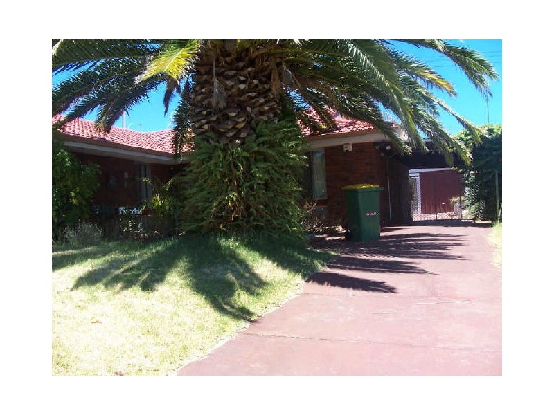 13 Bersica  Court, Kardinya WA 6163