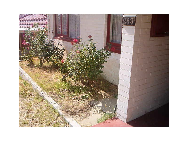 243 Winterfold Road, Coolbellup WA 6163