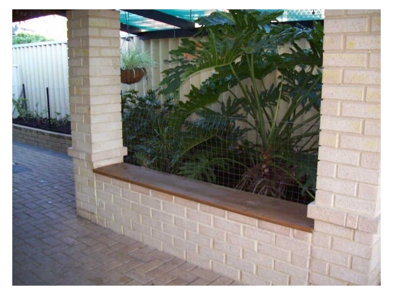 4 Silvereye Court, Beeliar WA 6164