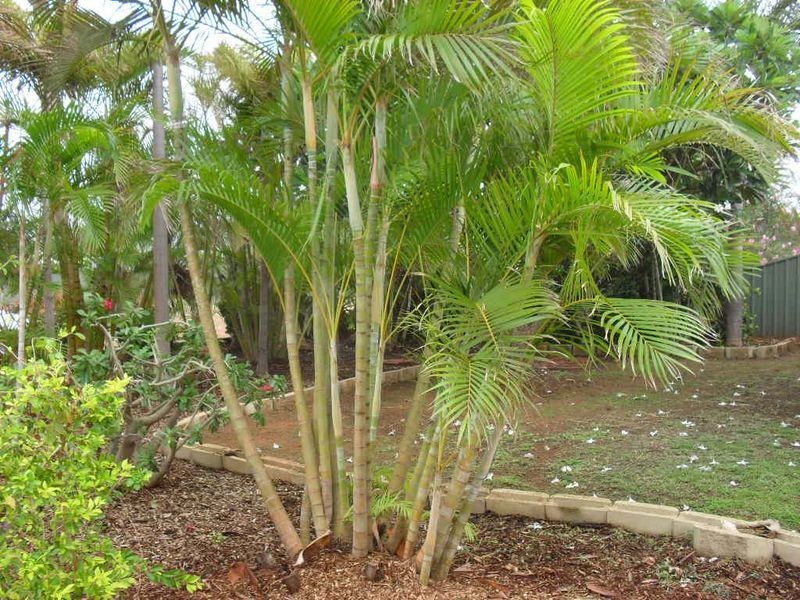 179 Thyssen Crescent, Dampier WA 6713