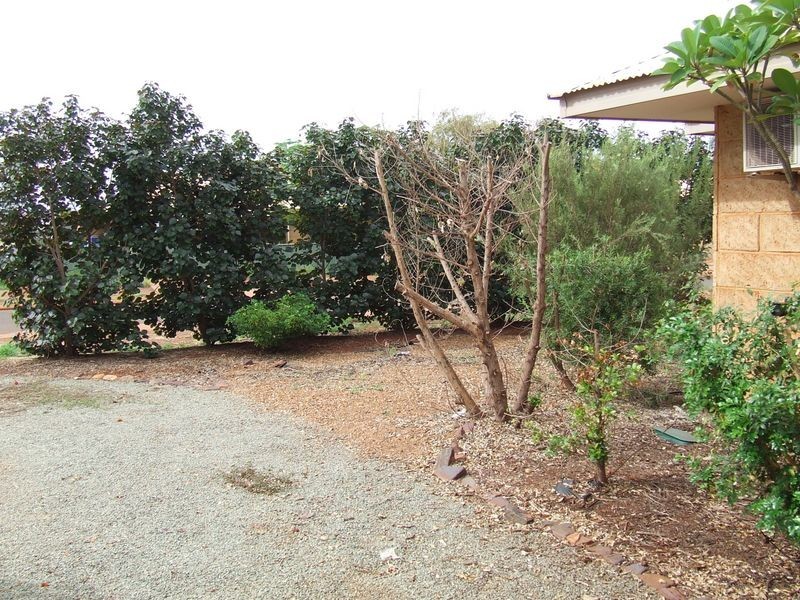 12 Knox Wy, Newman WA 6753