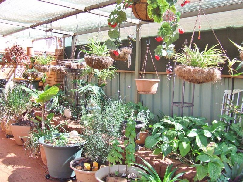 3/29 McLennan Drive, Newman WA 6753