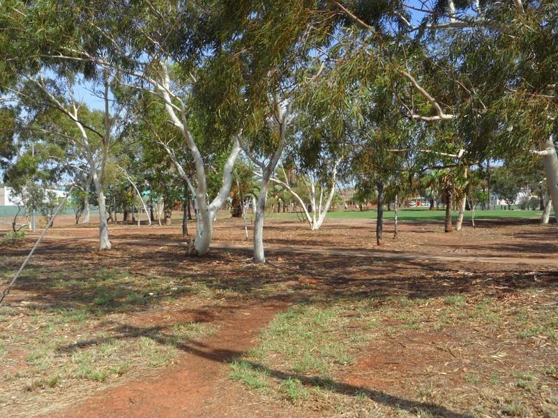 22A Lady Douglas Way, Pegs Creek WA 6714