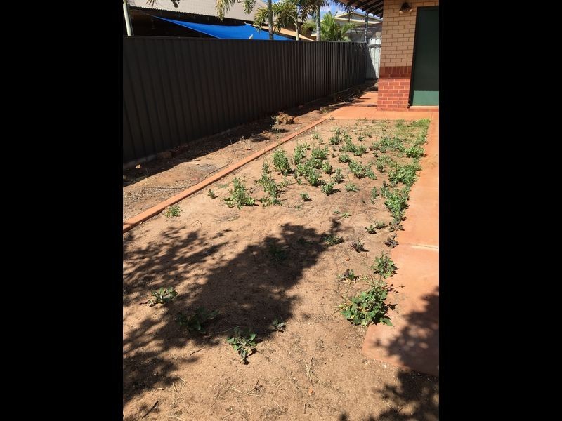 26 Kingfisher Way, Nickol WA 6714