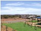 16 Hibiscus, Newman WA 6753