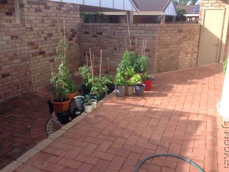 1/58 Portmarnock Circle, Halls Head WA 6210