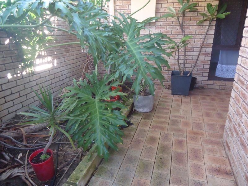 1 David Place, Dudley Park WA 6210