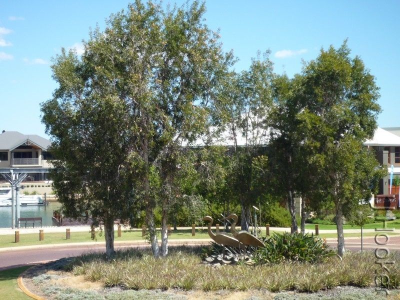 15/1 Mariners Cove Drive, Dudley Park WA 6210