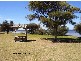 19 Olive Road, Falcon WA 6210